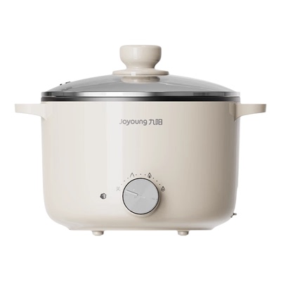 电煮锅家用多功能蒸煮一体