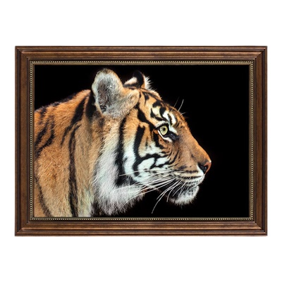 新中式老虎猛虎动物装饰画