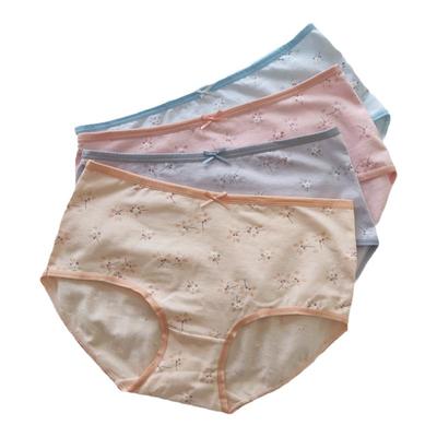 包邮港莎女士莱卡棉高腰内裤