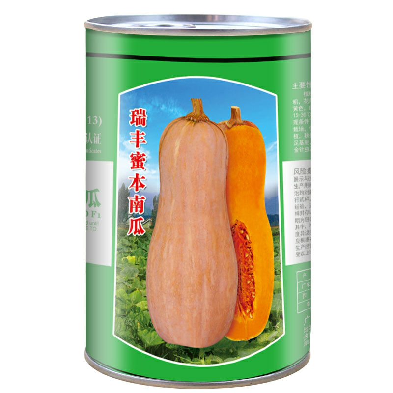 蔬菜种子高产四季蜜本南瓜
