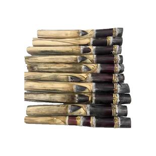 广西黑皮甘蔗苗南北方盆栽黄皮甘蔗种子带芽水果苗种黄金甘蔗种苗