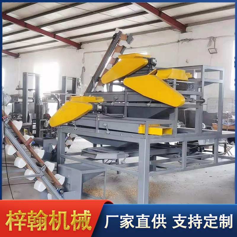 多功能坚果去壳机 大型全自动杏核破壳机 不锈钢杏核破壳机设备
