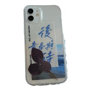 bubblegirl苹果17pro透明手机壳五月天周边歌词文字小众设计高级感卡片干花diy私奔到月球人生海海保护壳
