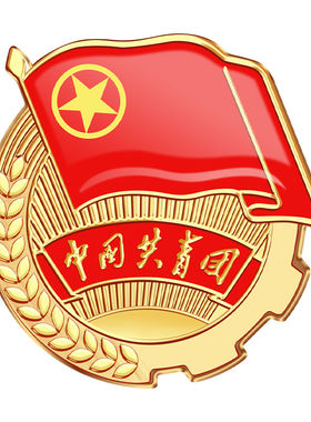 团徽标准中国共青团团员徽章胸章