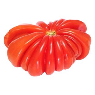 马提尔冰淇淋番茄种子超甜大番茄西红柿种籽春季秋季夏季播蕃茄孑