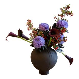 2025新款花束牡丹菊插花鲜花彩色马蹄莲云南直发插水养布景鲜切花