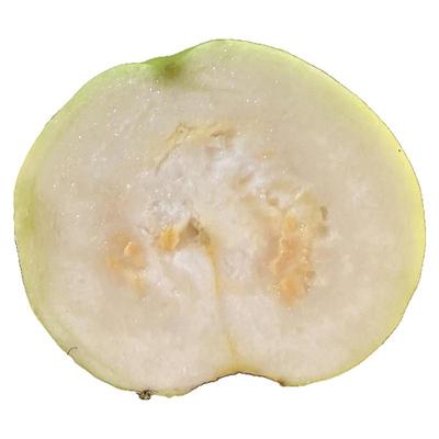 发中通广西软糯老树果5斤净重