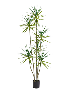 龙血树仿真绿植高端轻奢室内客厅大型落地盆栽摆件仿生植物假花树