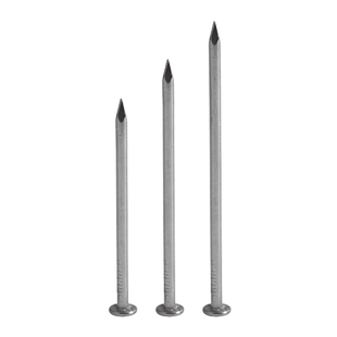 304不锈钢圆钉钢钉元钉木工圆钉木头钉加长洋钉铁钉地板钉子