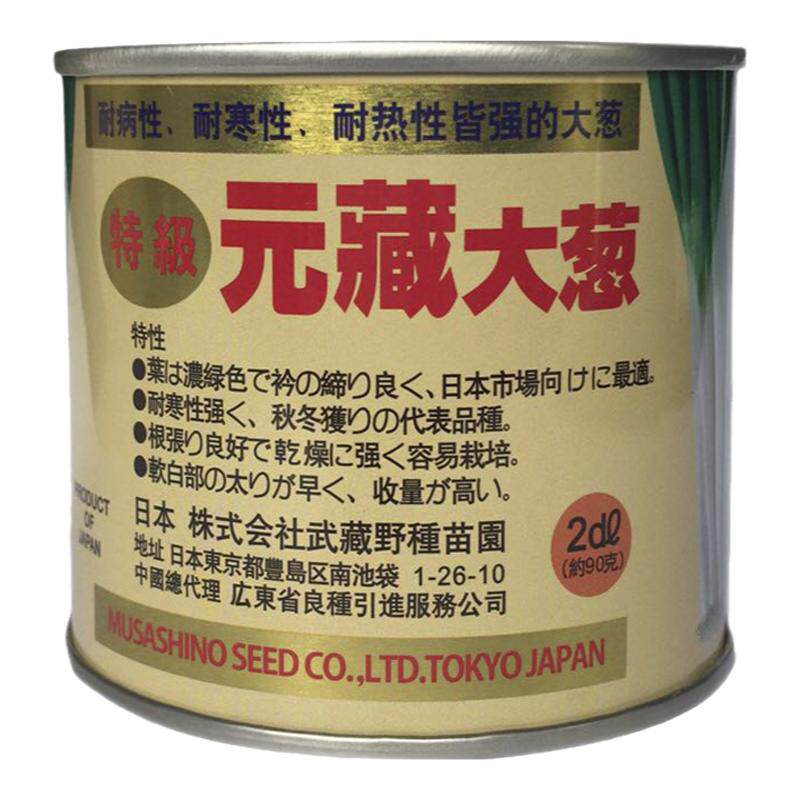 日本进口原装大葱种子四季蔬菜种子葱籽包邮耐热抗耐抽薹 抗倒伏
