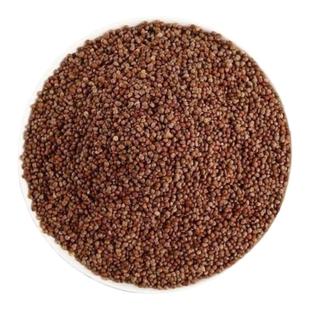 紫苏子中药材正品紫苏籽可炒熟苏子食用油可磨粉紫苏籽紫苏籽粉