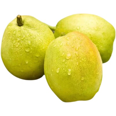新疆库尔勒香梨现摘现发新疆包邮