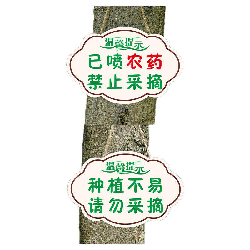 禁止采摘警示牌已打农药警示牌已喷农药私人种植请勿采摘挂牌花园爱护花草提示标牌果树已施喷药注意标识牌子