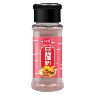 甘梅粉家用50g 炸鸡排油炸小吃撒料 沾水果配料 潮汕酸梅汤话梅粉
