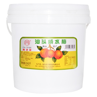 潮汕特产汕头咸水梅浸泡酸梅酱青竹梅腌咸梅酸梅汤蒸鱼梅肉调味料