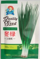 Зимний зеленый зеленый белк семена 10 г оригинальный лист зеленый, устойчивый к жилью