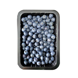 【京东发货】现摘现发贵州麻江新鲜高山蓝莓鲜果当季时令露天水果