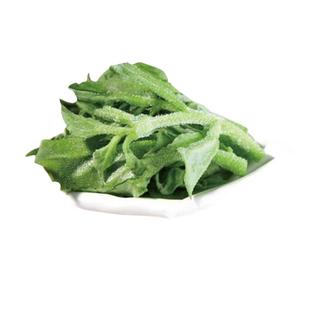 春季蔬菜种子玉米番茄辣椒西甜瓜种籽大全种孑南瓜香菜空心韭葱生