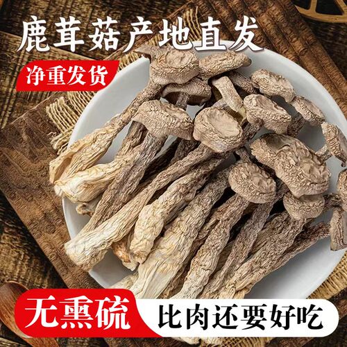 鹿茸菇干货500g/250g古田特产鹿茸菇新鲜鹿茸菌脆脆菇鹿耳菇食材