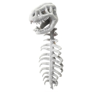 中华恐龙园官方正品恐龙骨架儿童成人装扮服饰道具面具头套毛绒礼