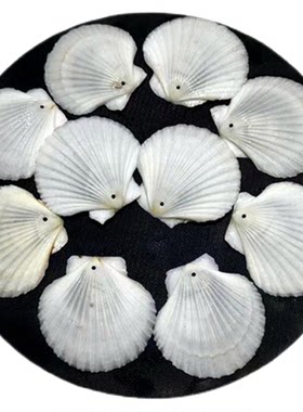 天然海螺贝壳 25片白色贝壳 打孔扇贝儿童手工diy风铃签字画材料