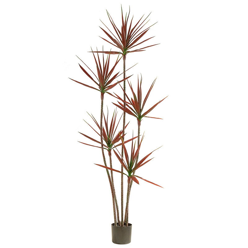 剑麻仿生植物免打理仿真绿植