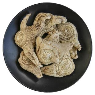 白芨中药材正品白及白芨片三叉白芨白鸡旱白芨干新鲜非野生可打粉