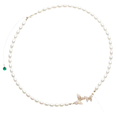 天然淡水珍珠项链女款2024新款爆款轻奢小众小米珠锁骨链生日礼物