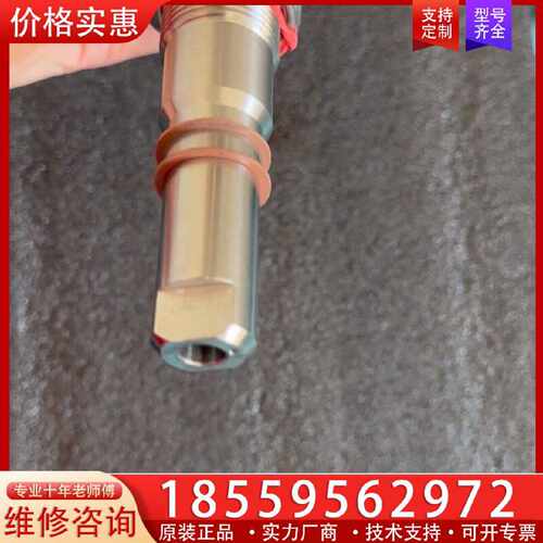 【询价】Gestra NRG 16-11，液位电极，原厂件现适用