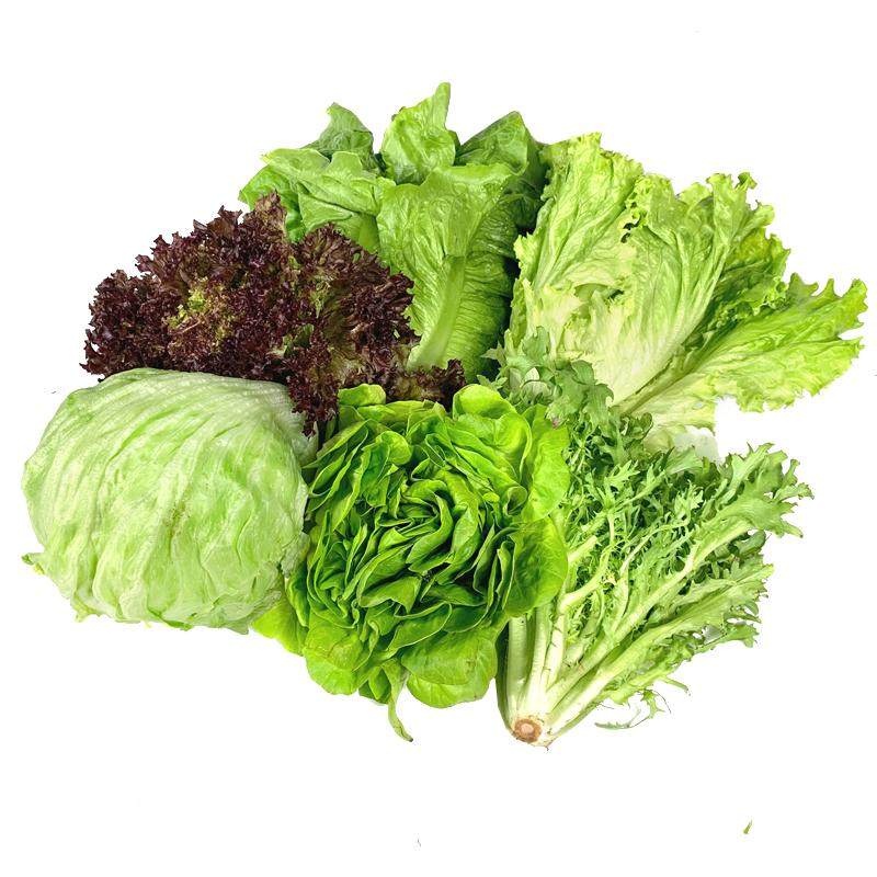 新鲜生菜组合3.5斤 沙拉蔬菜汉堡球生菜生吃火锅健身轻食混合食材