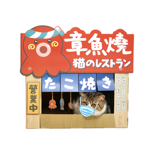 元気喵丨章鱼烧创意猫抓板居酒屋盒子猫窝耐抓耐磨猫玩具猫咪用品