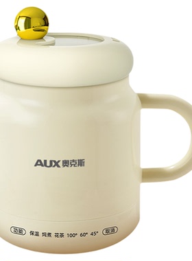 【世界500强】AUX奥克斯电热杯