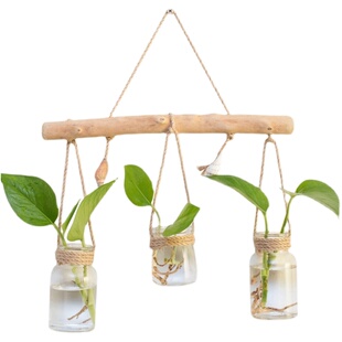 卧室墙壁装饰挂件创意餐厅房间客厅墙上墙面水培花瓶家居壁挂饰品