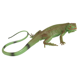 林畅模玩儿童仿真动物世界玩具绿鬣蜥模型蜥蜴爬行古生物美洲鬣蜥