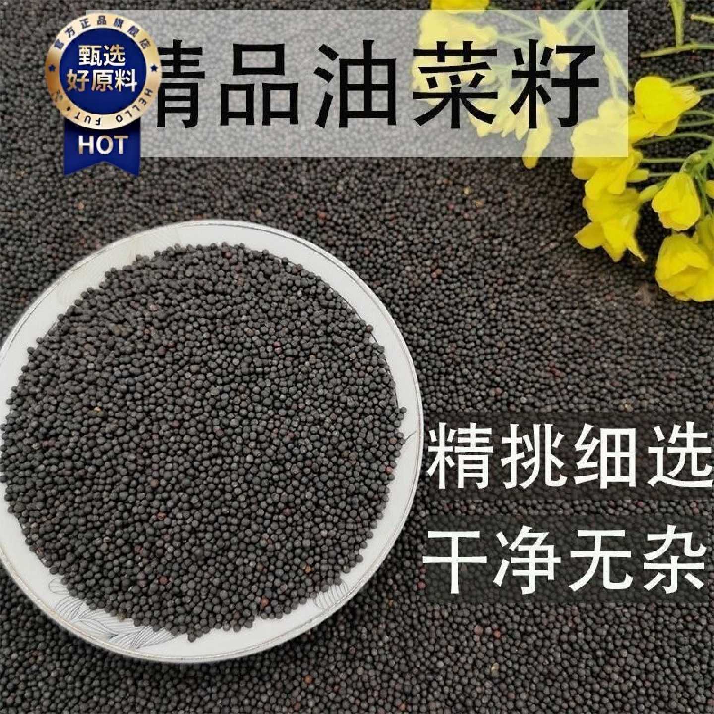 2025年油菜籽精选优质油菜籽新品种批发包邮榨油专用菜籽鸟粮专用