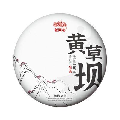 2022年春茶预售老同志黄草坝古树