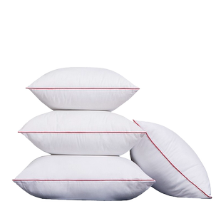 买一送一】抱枕芯内胆内芯沙发靠垫芯腰靠枕芯子45 50 方形芯子