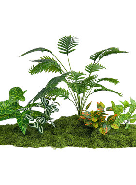 仿真绿植造景组合假植物布置苔藓