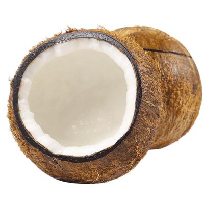 10个装海南老椰子新鲜预开口毛椰