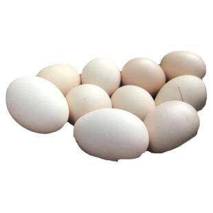 贵州黔南农家户外散养土鸡蛋月子鸡蛋笨鸡蛋柴鸡蛋30枚新鲜包邮