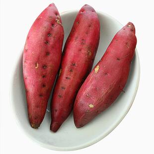 食物日报 鸣门金时地瓜 日本板栗薯日引品种香甜粉面板栗口感红薯