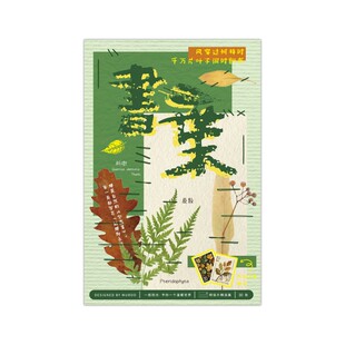 明信片一叶信纸简约文艺清新复古异形树叶贺卡手绘创意书签卡片