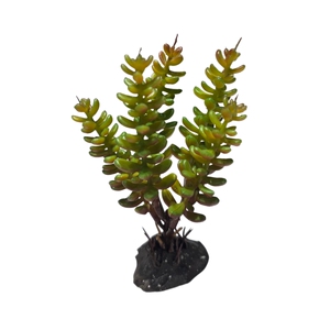 爬宠造景高仿真绿植盆栽背景摆件