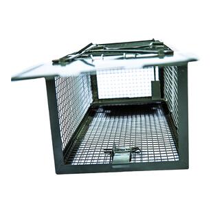 双开门捕老鼠笼捕鼠神器铁网特大号捕鼠笼驱鼠神器家用室内扑捉器