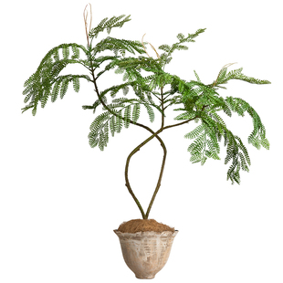 海虹雅林蓝花楹假花仿真花摆设高级仿生客厅橱窗装饰场景布置绿植