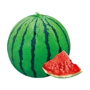 8424麒麟西瓜种子籽特大高产巨型无籽甜王薄皮小四季盆栽水果种孑