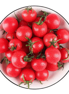 【枝纯】樱桃小番茄缤纷礼盒1kg
