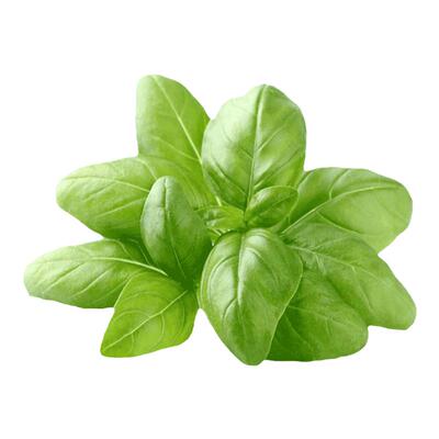 四季香味扑鼻夏季小凉菜
