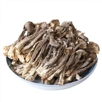 2024净重无干燥剂古田精选鹿茸菇无硫熏鲜鹿茸菌煲汤菌菇包邮新货