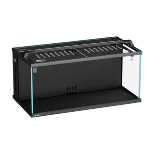 莱易欧2代背滤一体过滤小型客厅桌面金晶超白玻璃溪流缸生态鱼缸